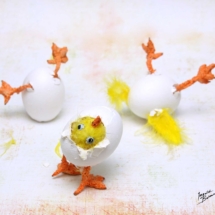 chicken-eggs---WM--ingvild-bolme