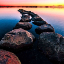 step-stones-WEB-WM-Ingvild-Bolme